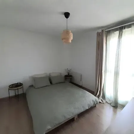 Apartment Groupama Stadium